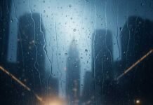 What Life Teaches Us in Our Toughest Moments Rainy window, cracked teacup, firefly.