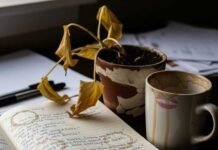 25 Personal Growth Quotes That Will Motivate You Daily Messy desk with notebook, plant, and coffee mug.